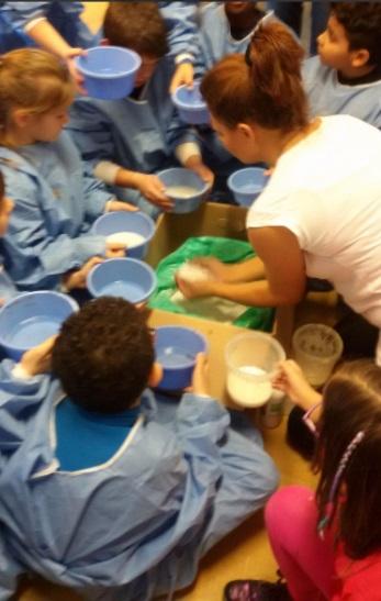 Cristina Cocco & her art classes Cristina Cocco & her art classes