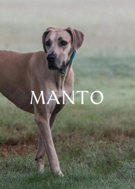 Prodotti biologici per animali