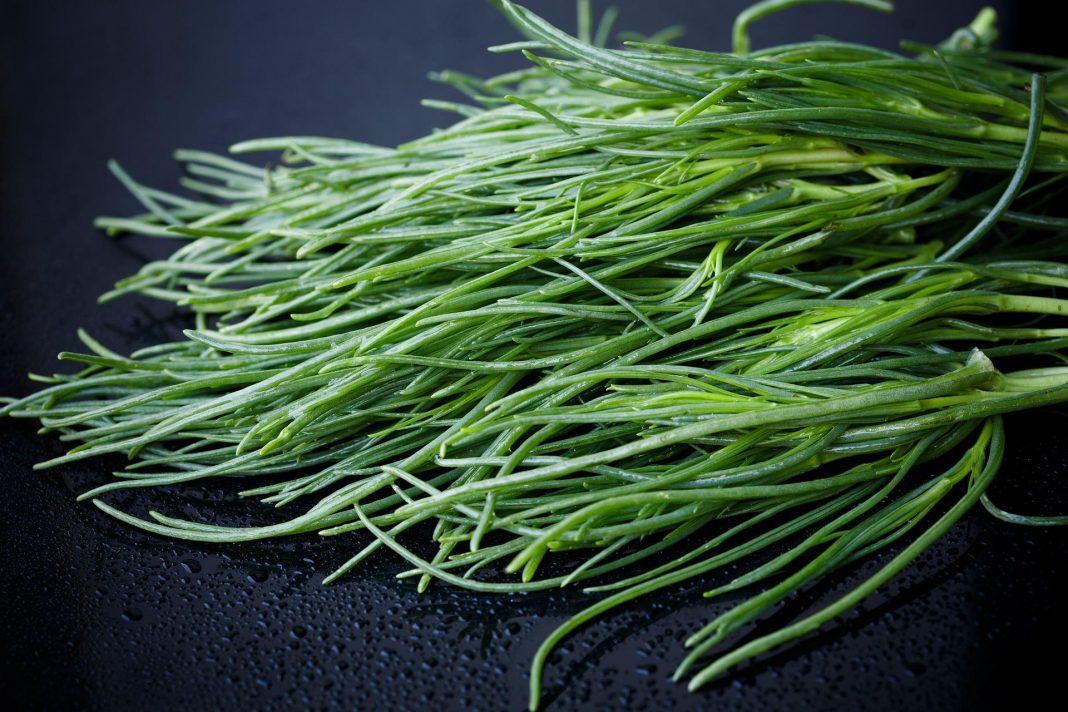 Agretti, proprietà e benefici